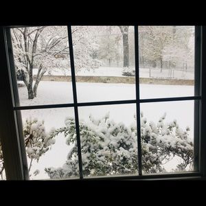 Meet your Posher, Meganne